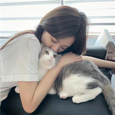 老鼠开会